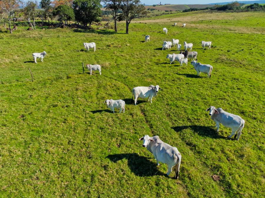 5 Bedroom Property for Sale in East London Rural Eastern Cape